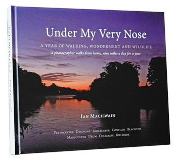 Under My Very Nose